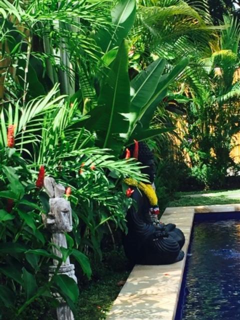 ホテルKayu Bali チャングー エクステリア 写真